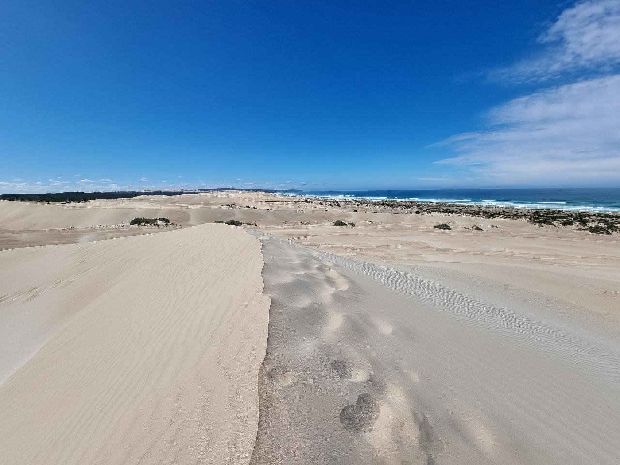 Coffin Bay National Park Sightseeing & Off-Road Tour