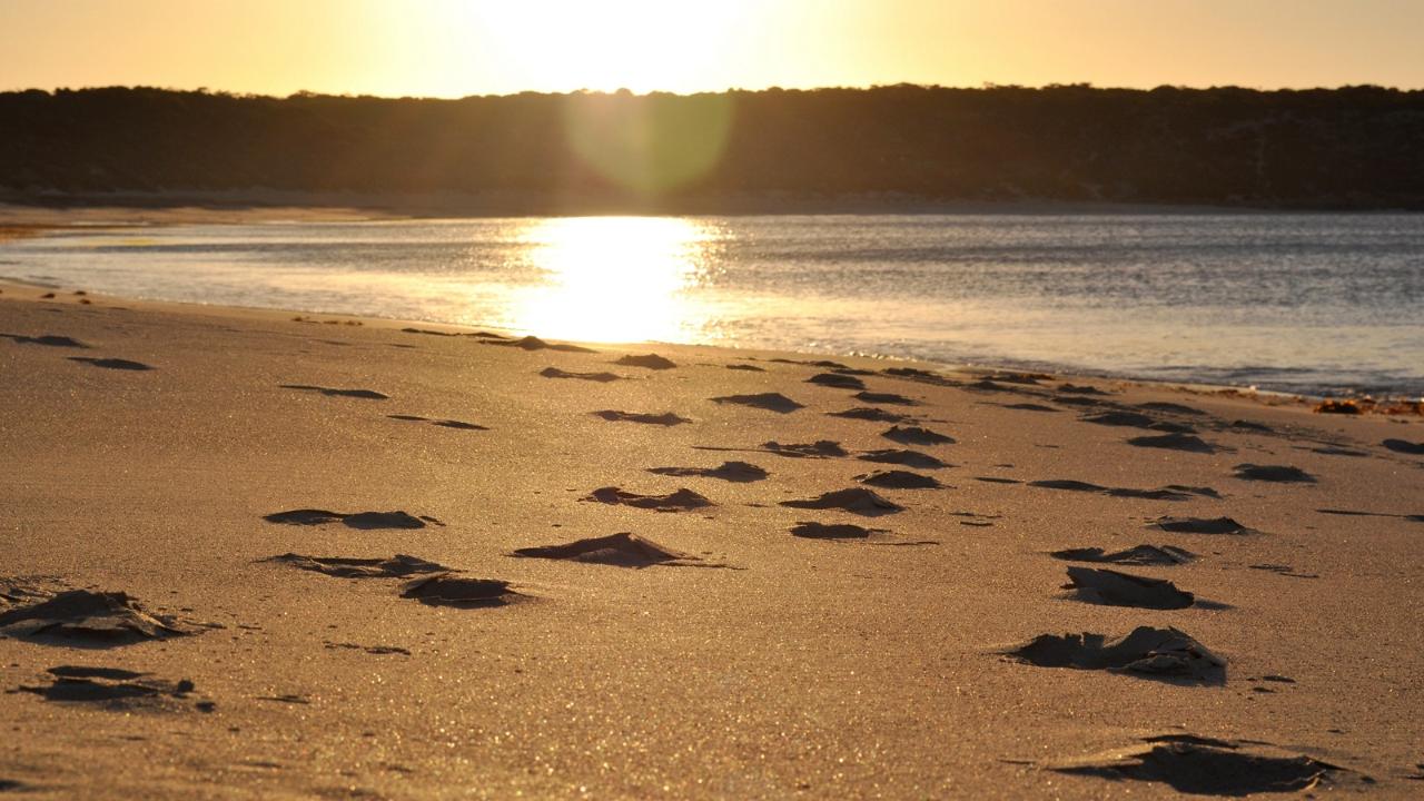 3-Day Southern Yorke Peninsula Coastal Wilderness Adventure