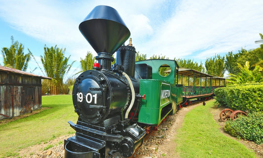 Montville Day Tour: Ginger Factory, Rainforest & Views