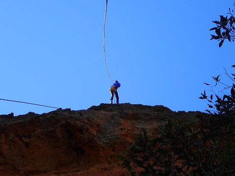 Spectacular Blue Mountains Half Day Abseiling Adventure