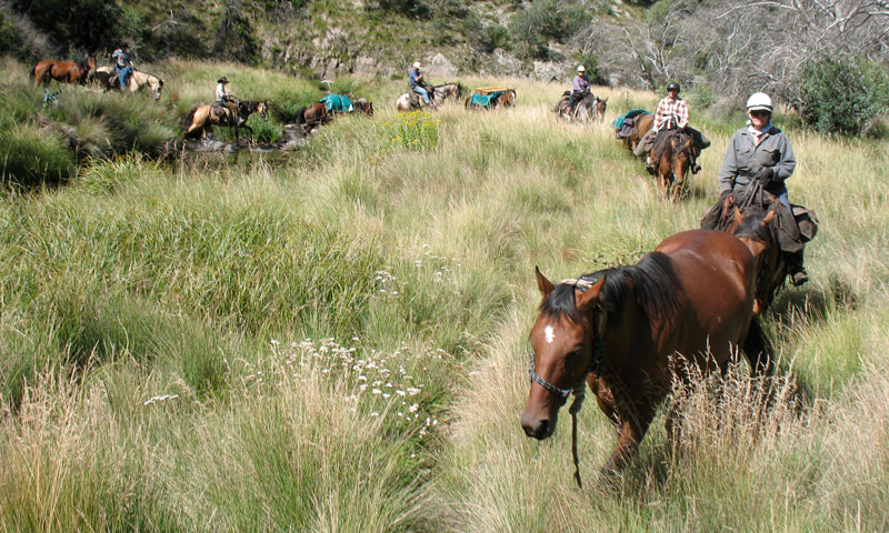 Labour Day Long Weekend Escape: 5-Day Tour