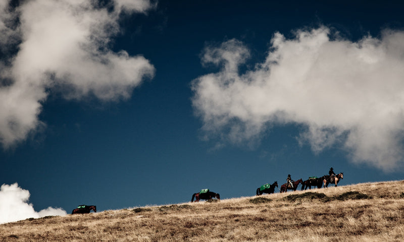 Mount Bogong Highest Of High Country: 7-Day Tour