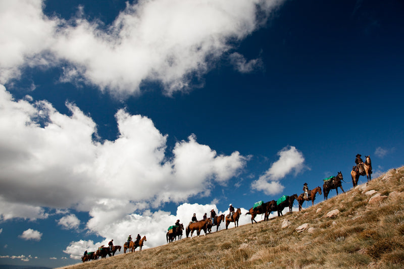 Mount Bogong Highest Of High Country: 7-Day Tour