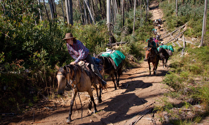 Mount Bogong Highest Of High Country: 7-Day Tour