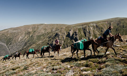 Mount Bogong Highest Of High Country: 7-Day Tour