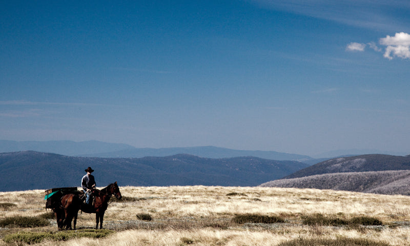 Mount Bogong Highest Of High Country: 7-Day Tour