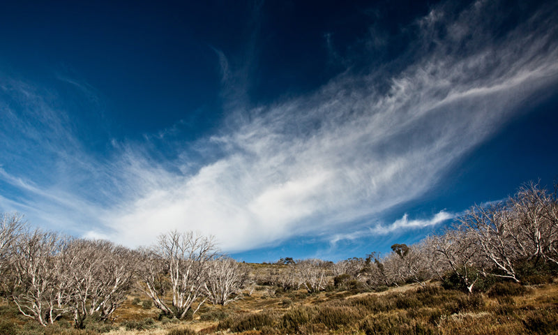 Mount Bogong Highest Of High Country: 7-Day Tour