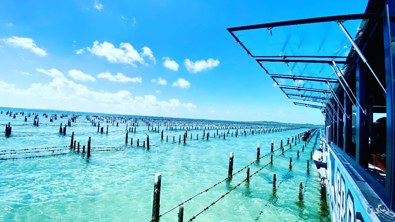 Port Lincoln & Coffin Bay Highlights - 2 Days & 1 Night