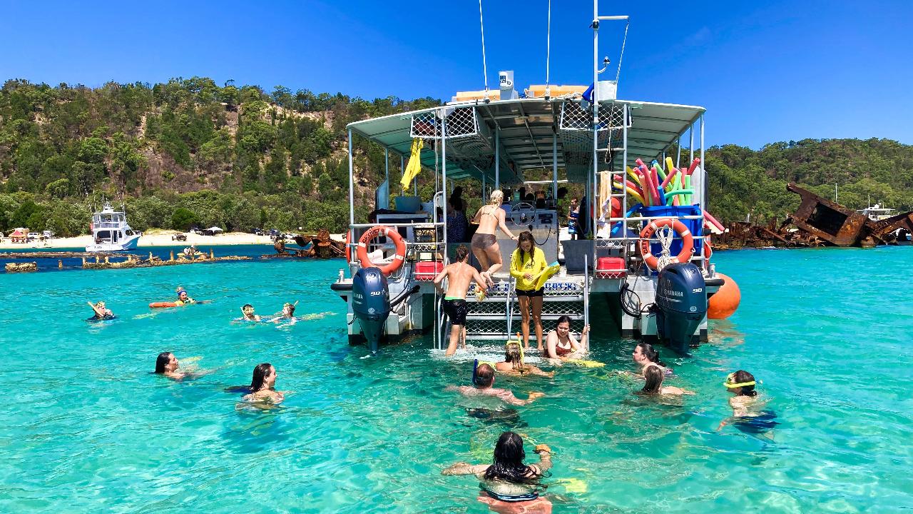 Dolphin & Tangalooma Wrecks Cruise For Family