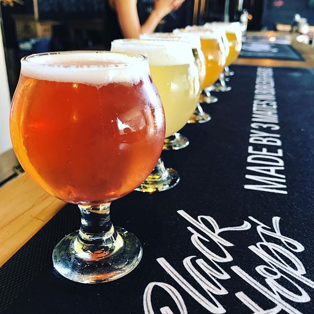 Private Gold Coast Brewery Tour