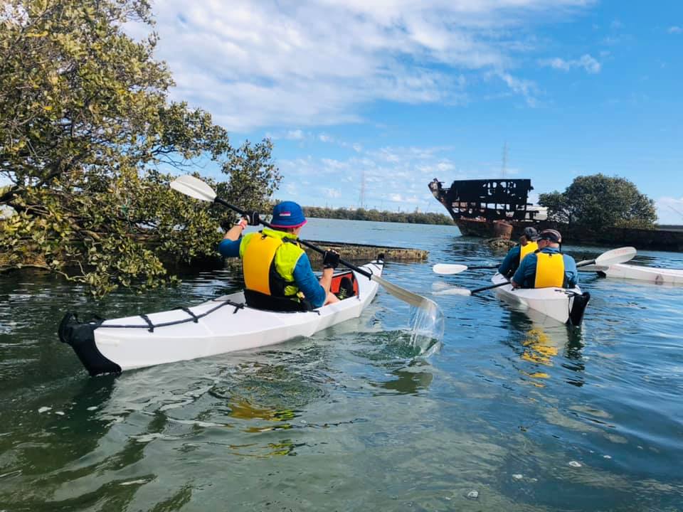 Adelaide Dolphin Sanctuary And Ships Graveyard Tour