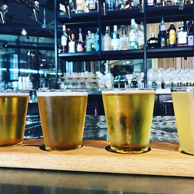 Private Gold Coast Brewery Tour