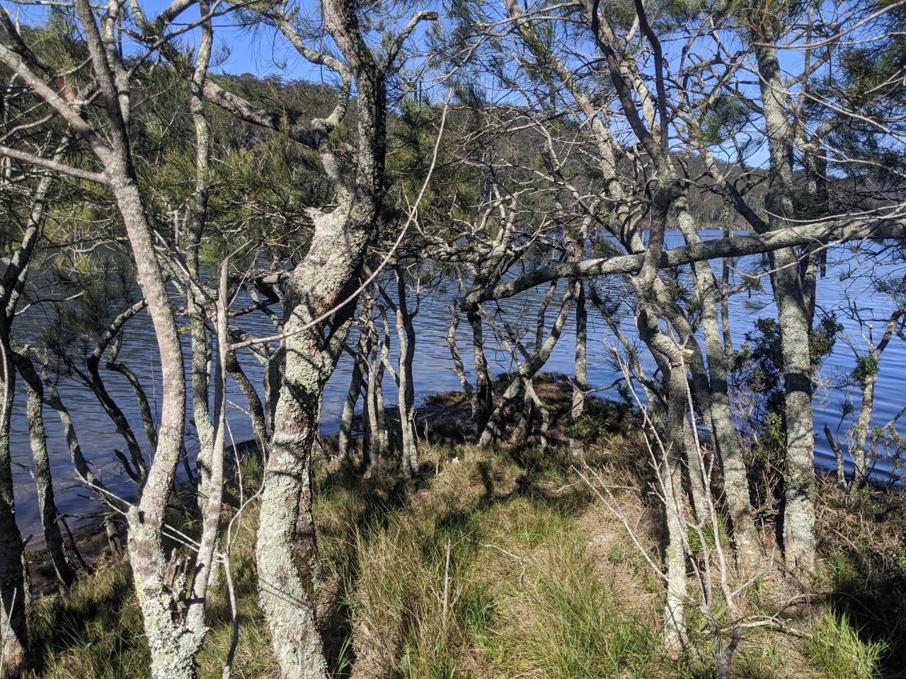 Self Guided E-Bike Tour - Pedal To Produce Series - Wagonga Wilderness Loop