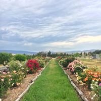 Old Kempton Distillery School