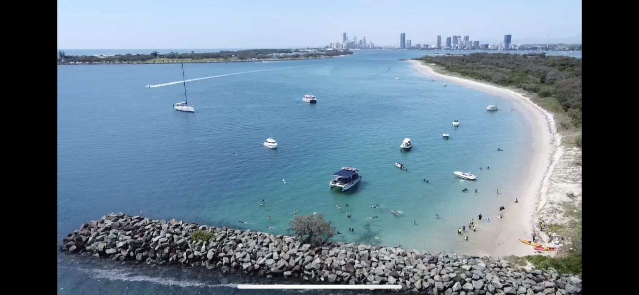 Morning Dolphin Kayaking & Snorkeling Tour