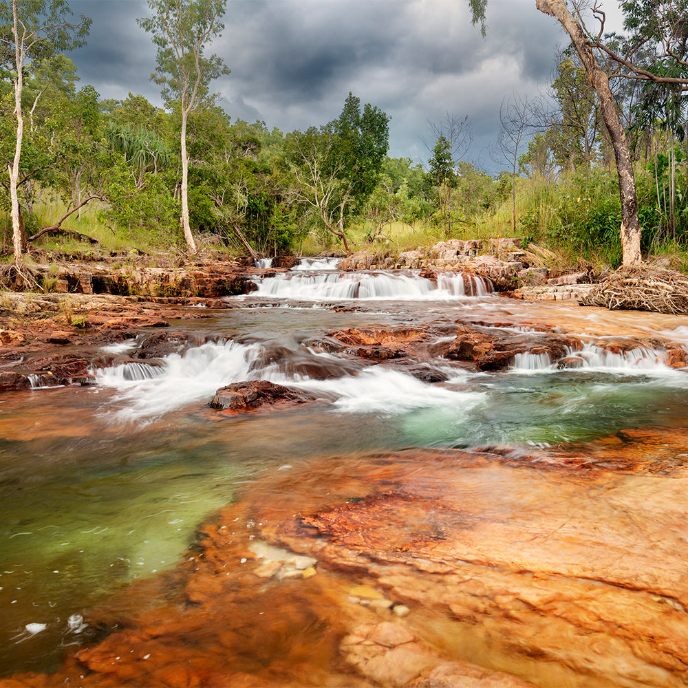 4X4 Litchfield Park Adventures Tour