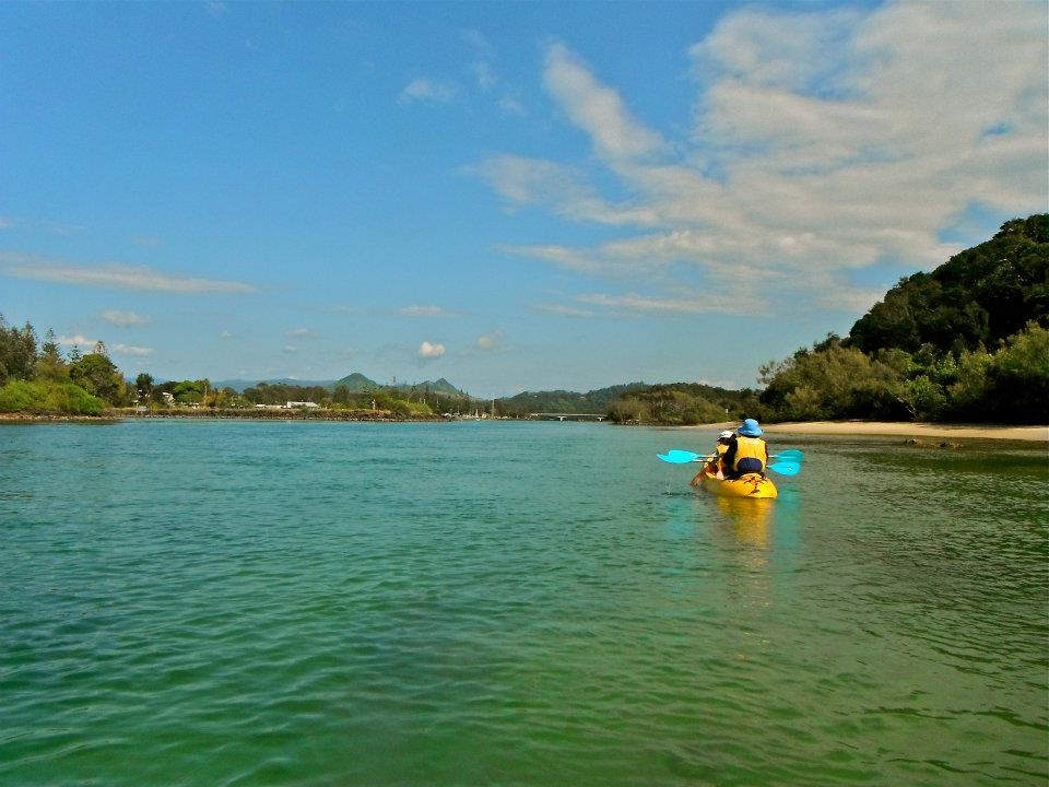 Brunswick River Nature Kayak Tour