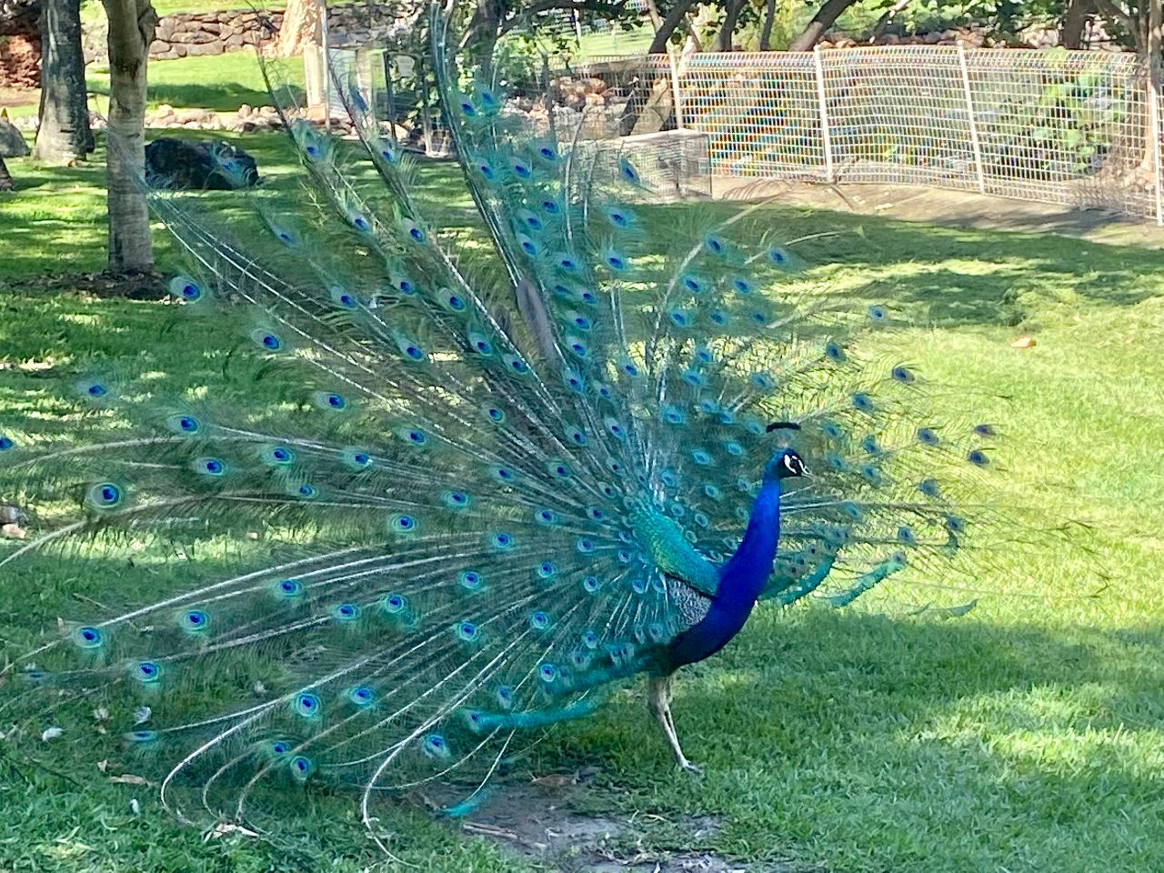 Paradise Sup Tour - Stand Up Paddle Tour