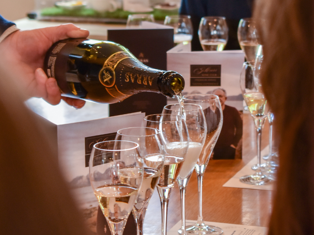 Stand Up Paddle (Sup) Beginner Lesson