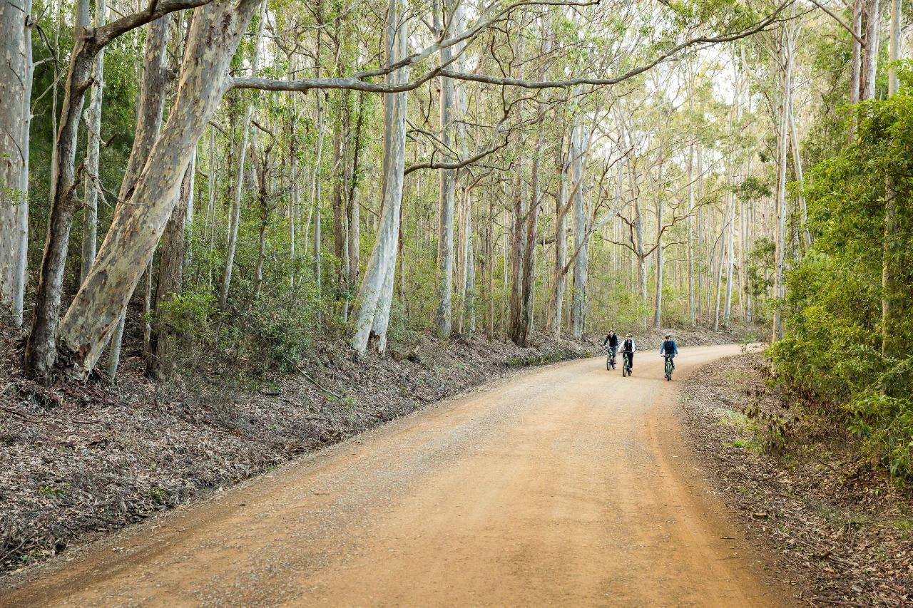 Self Guided E-Bike Tour - Pedal To Produce Series - Narooma To Tilba Valley Winery & Ale House