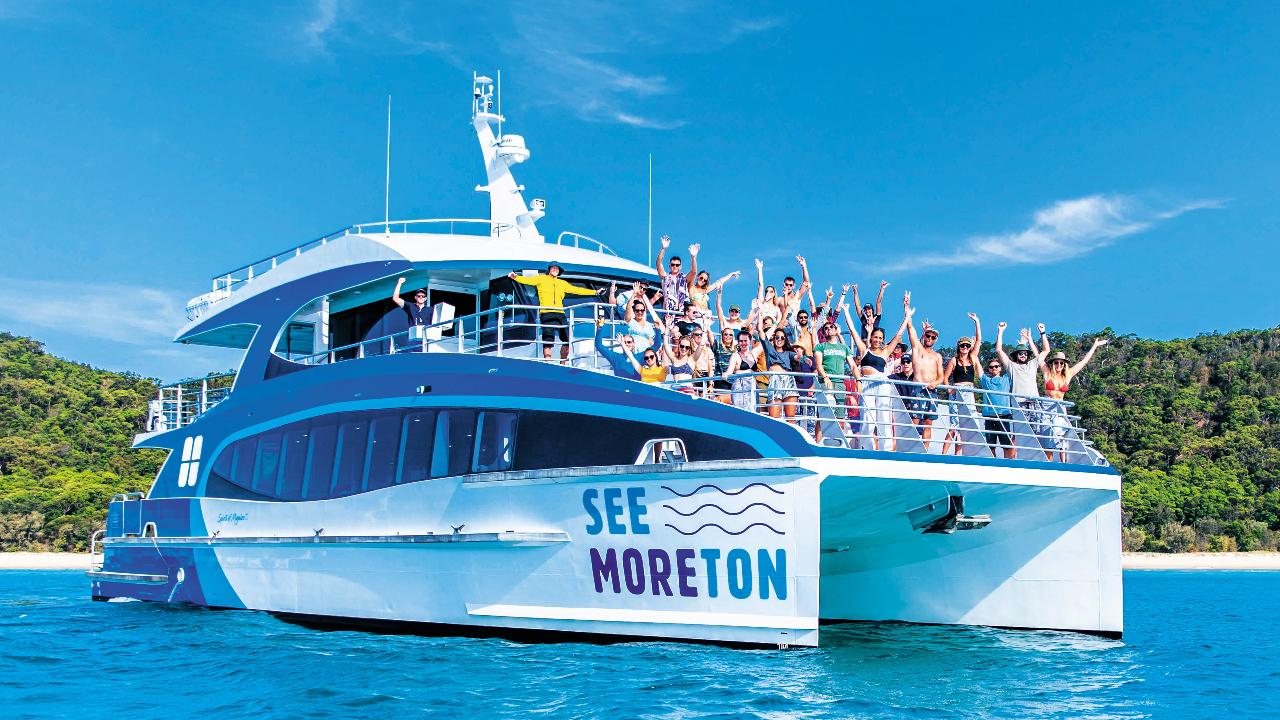 Dolphin & Tangalooma Wrecks Cruise For Family