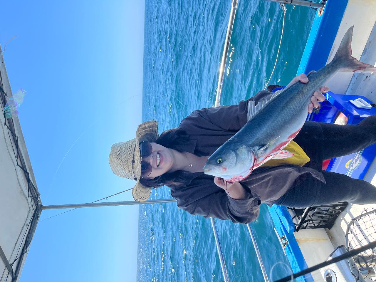 Full Day Reef And Sport Fishing