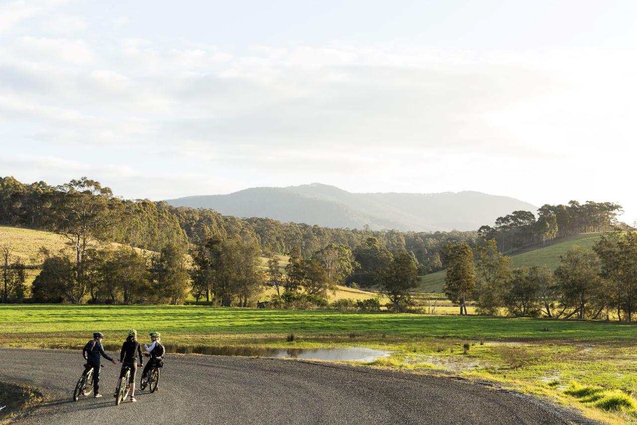 Self Guided E-Bike Tour - Pedal To Produce Series - Narooma To Tilba Valley Winery & Ale House