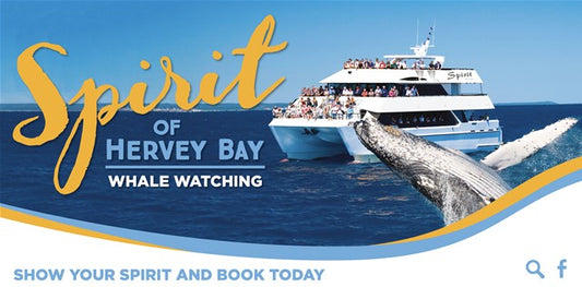 Half Day Spirit Of Hervey Bay Whale Watch Cruises