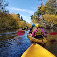 Paddle With The Platypus Adventure