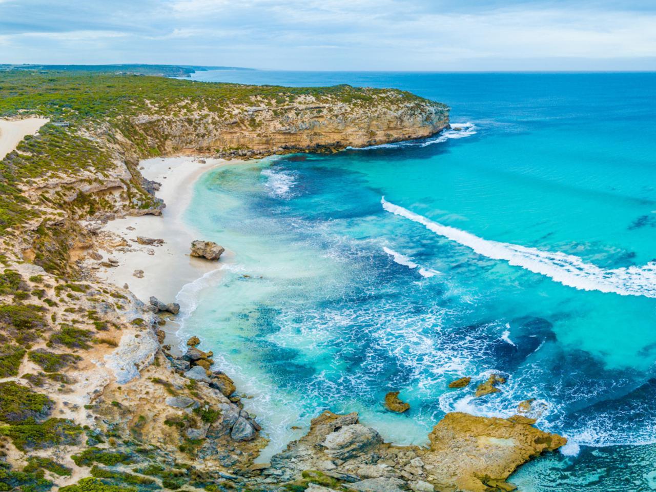 Private Coach - Seal Bay Beach Experience 24 Seater