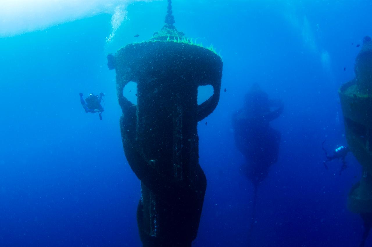 Wonders Of The Gold Coast Double-Dive (Wonder Reef)