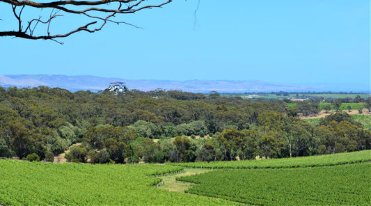 Mclaren Vale Wine Tour - Exclusive Tour