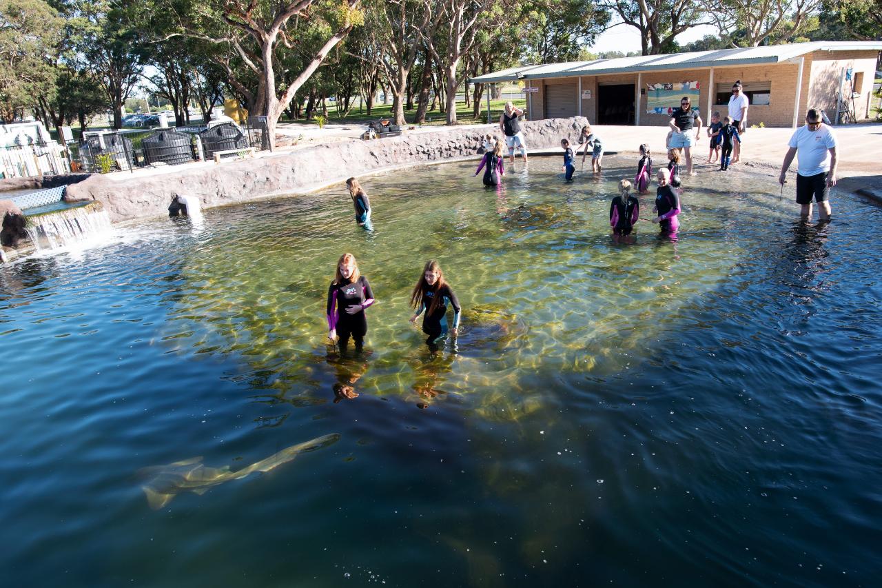 Irukandji Entry Pass & Stepping In The Lagoon Shallows & Shark Food