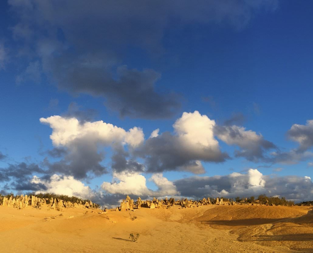 Pinnacles And Sea Lions Adventure