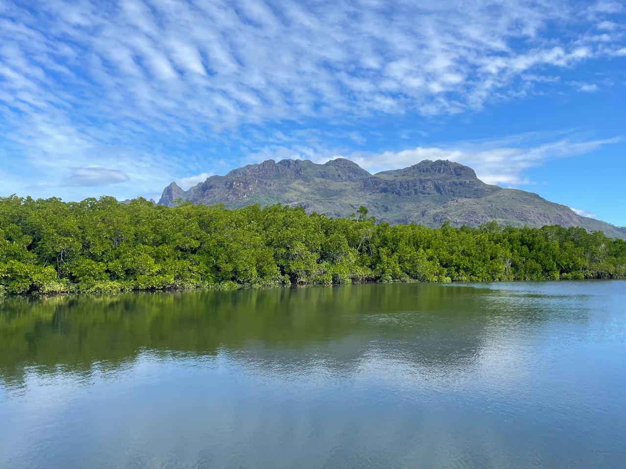 Sightseeing Tour Hinchinbrook Island Full Day