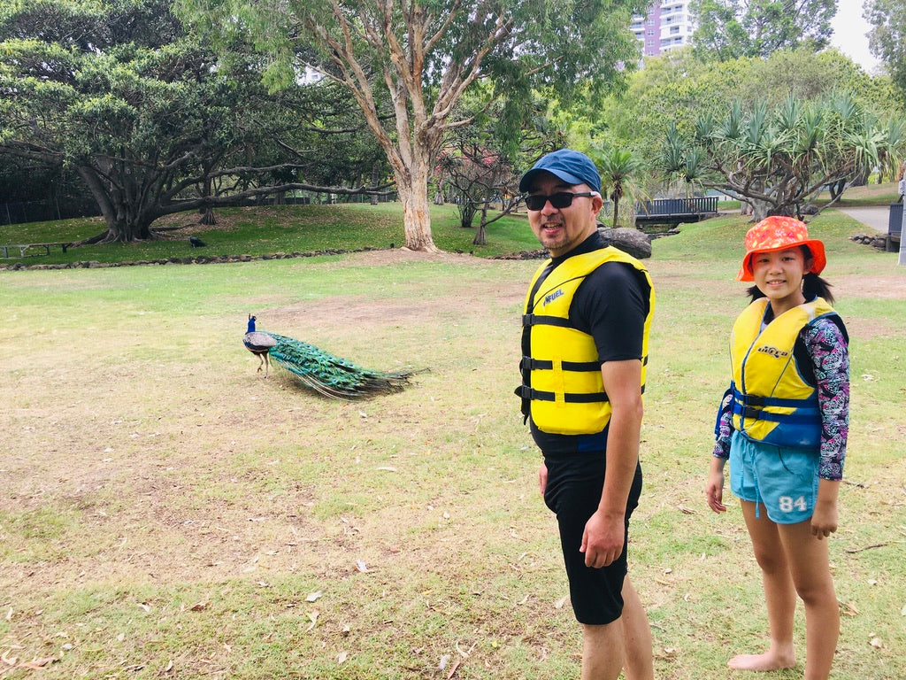 Kayak Tour & Stand Up Paddle Tour