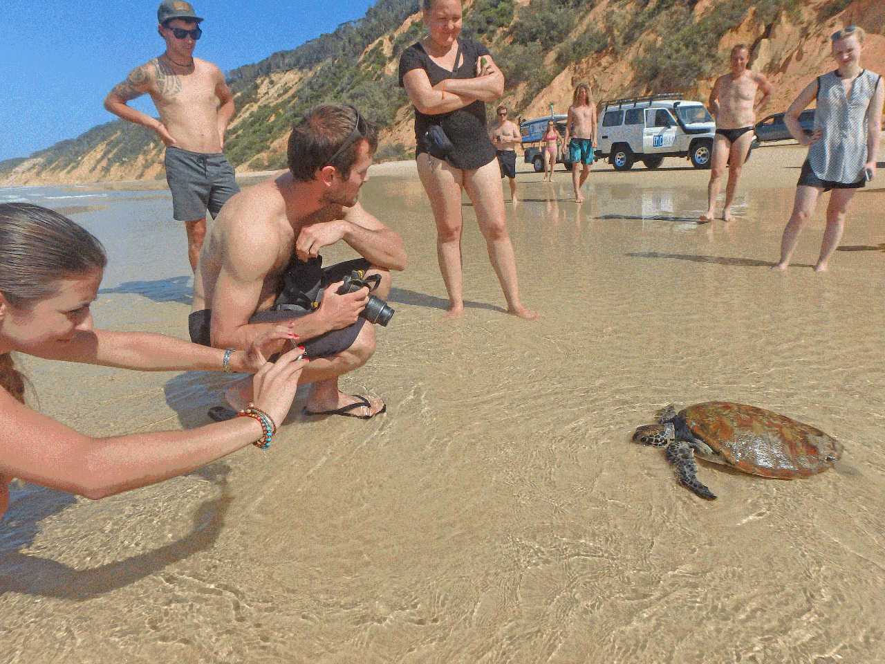 Stand Up Paddle Wildlife Tour & Beach 4X4 Day Trip- Noosa