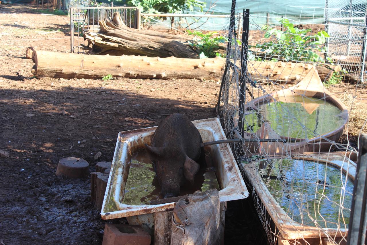 4X4 Litchfield Park Adventures Tour