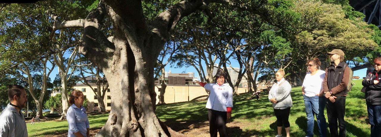 Exclusive Private Time Request: Illi-Langi The Rocks Aboriginal Dreaming Tour