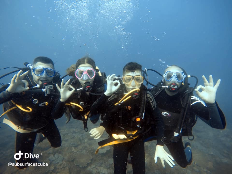 Introductory Dive Sunshine Coast Reefs - Single Dive