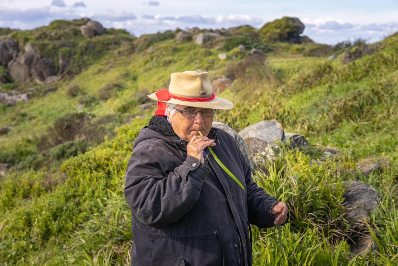 Welcome To Country - Bush Tucker & Bush Medicine Cultural Walk With Yuin Knowledge Holder