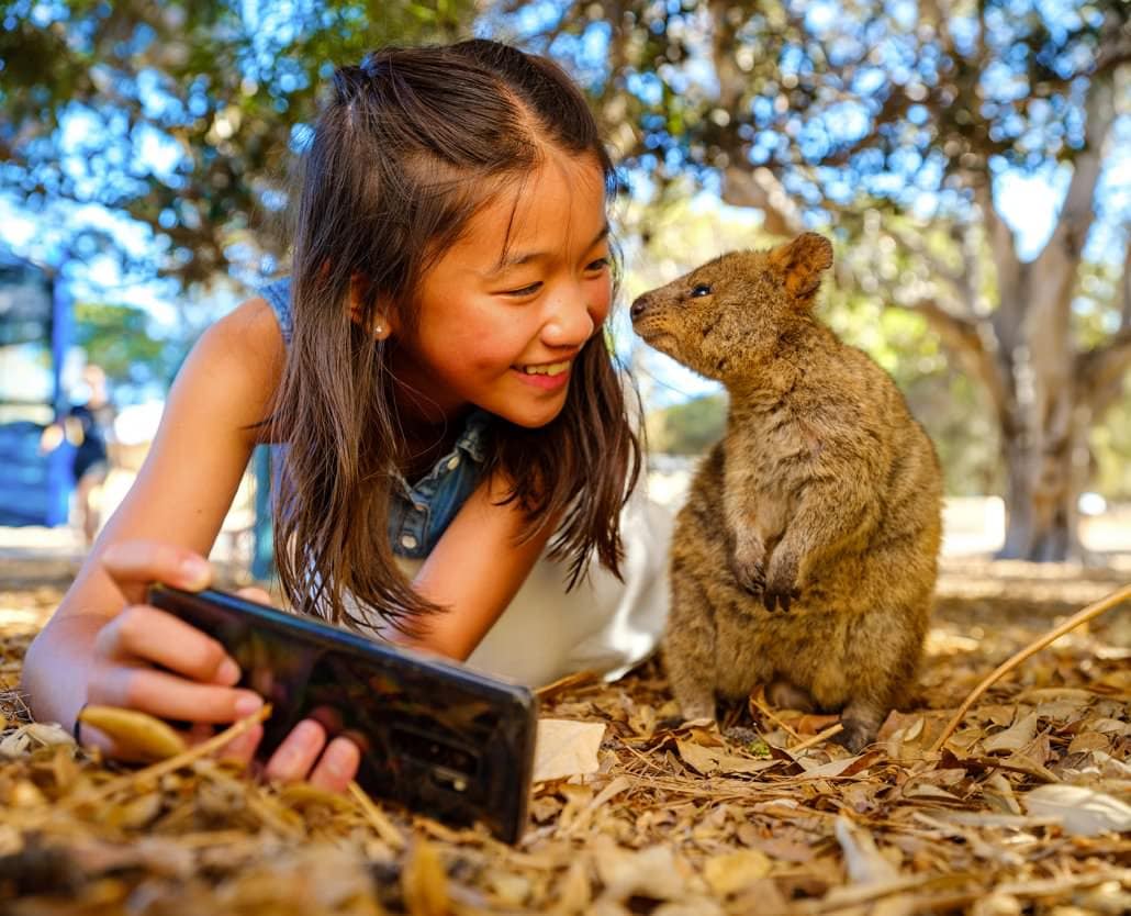 Quokkas Delight Rottnest Island Tour