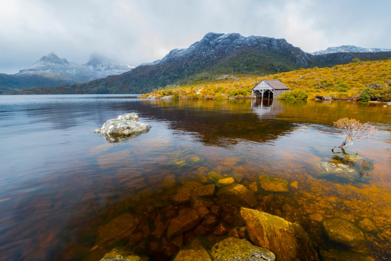 Shore Excursion - Cradle Mountain Day Tour