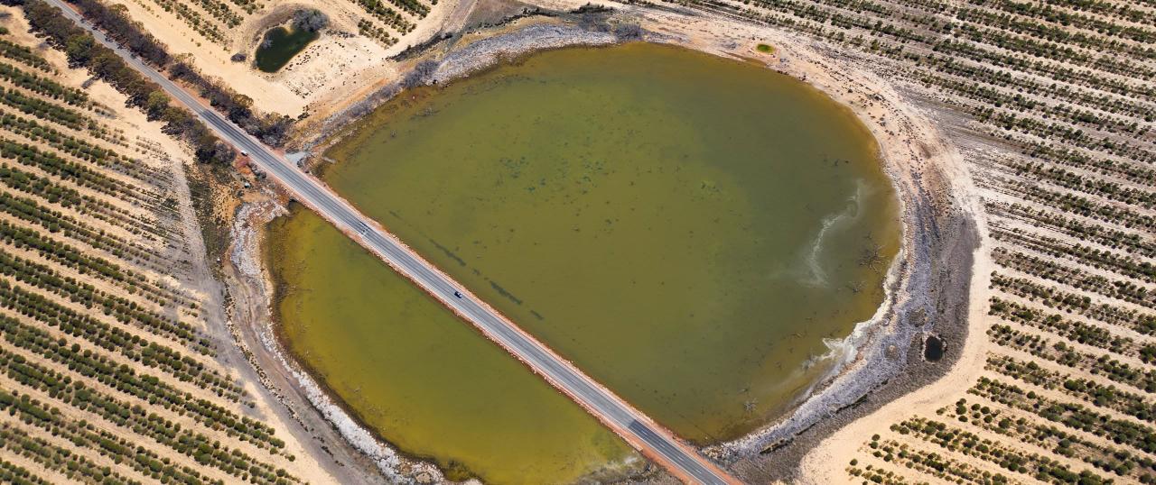 Colourful Lakes Of Wa Tour