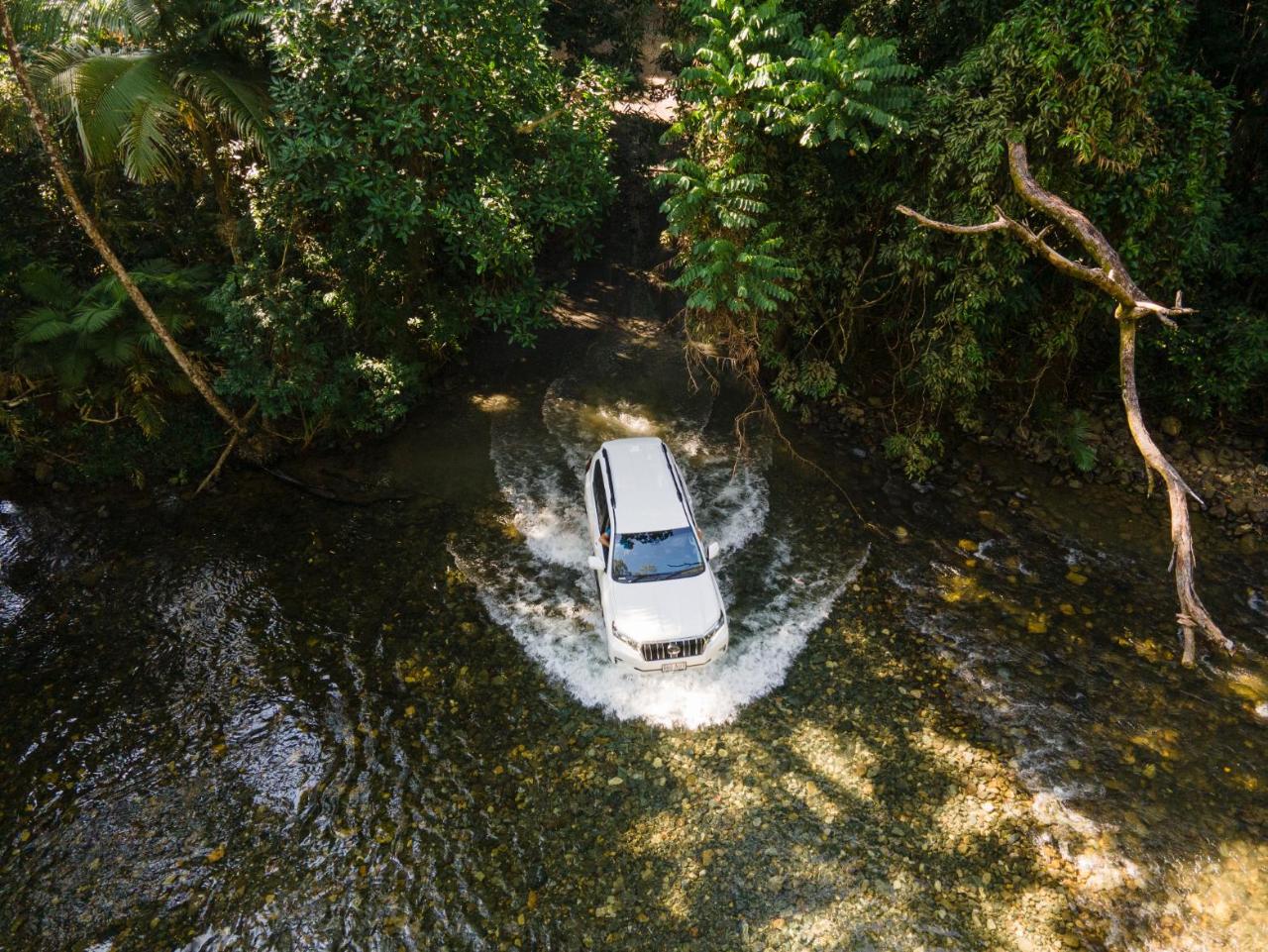 Half Day 4Wd Daintree Tour