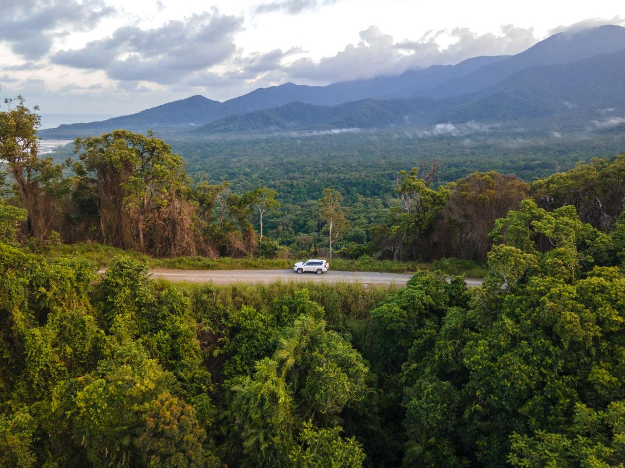 Half Day 4Wd Daintree Tour