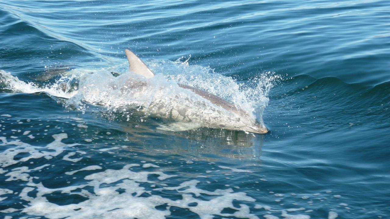 3-Day Southern Yorke Peninsula Coastal Wilderness Adventure