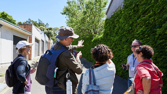 Phone Photography - Exploring Balmain (Birrabirragal)