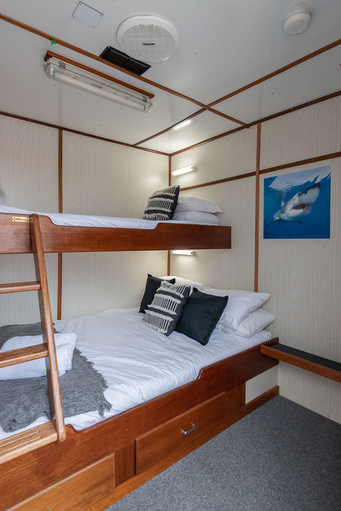 Great White Shark Expedition - 5 Nights