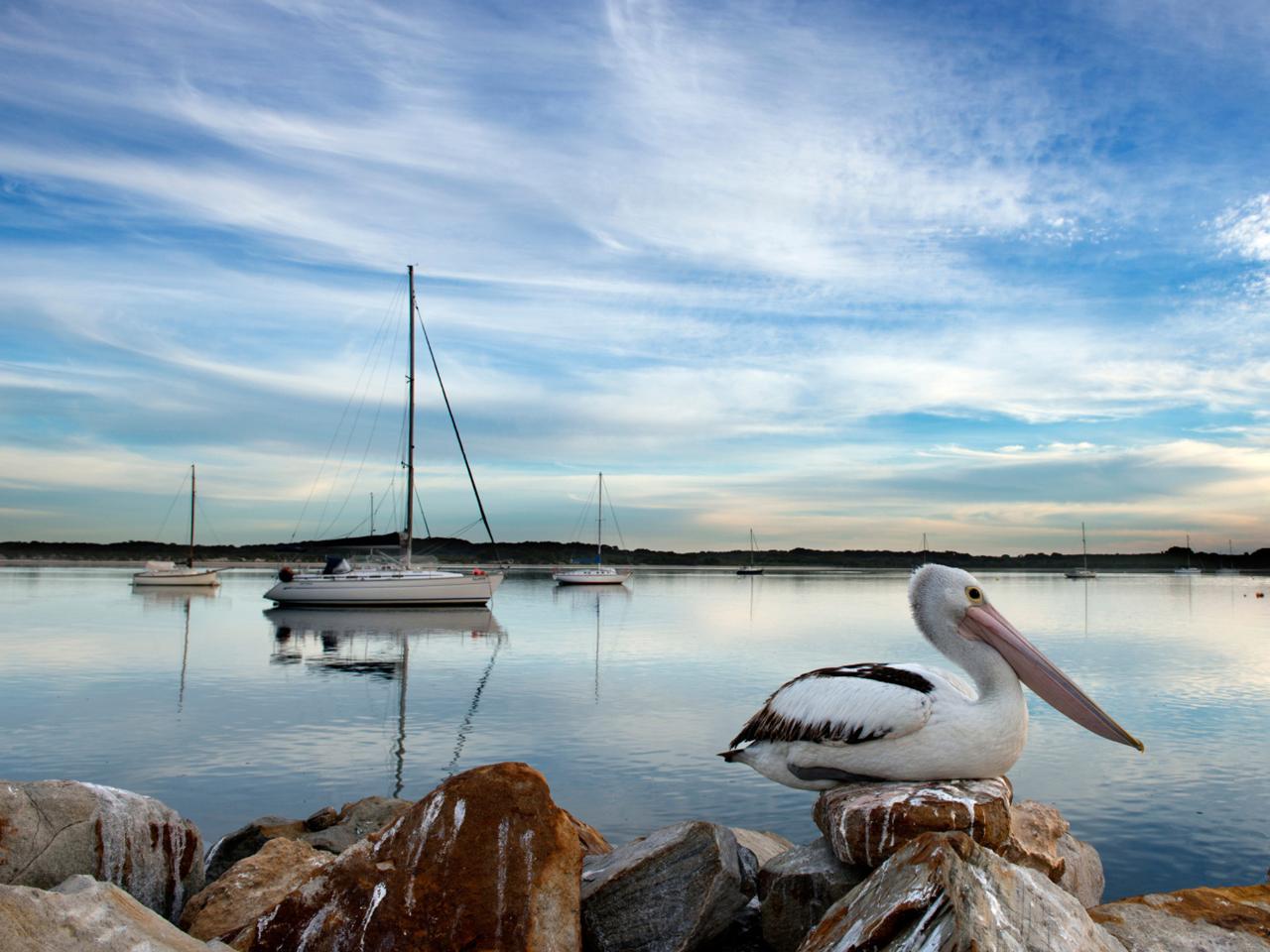 Private Coach - A Taste Of Kangaroo Island 24- Or 57-Seater